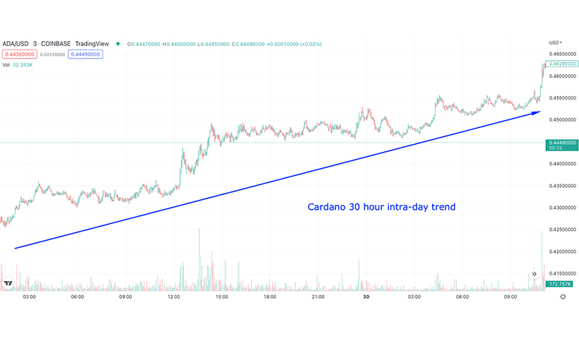 cardano intra-day trend example